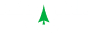 Real Cedar