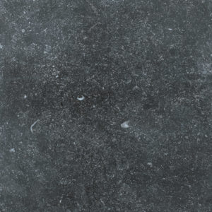 bl01 ego