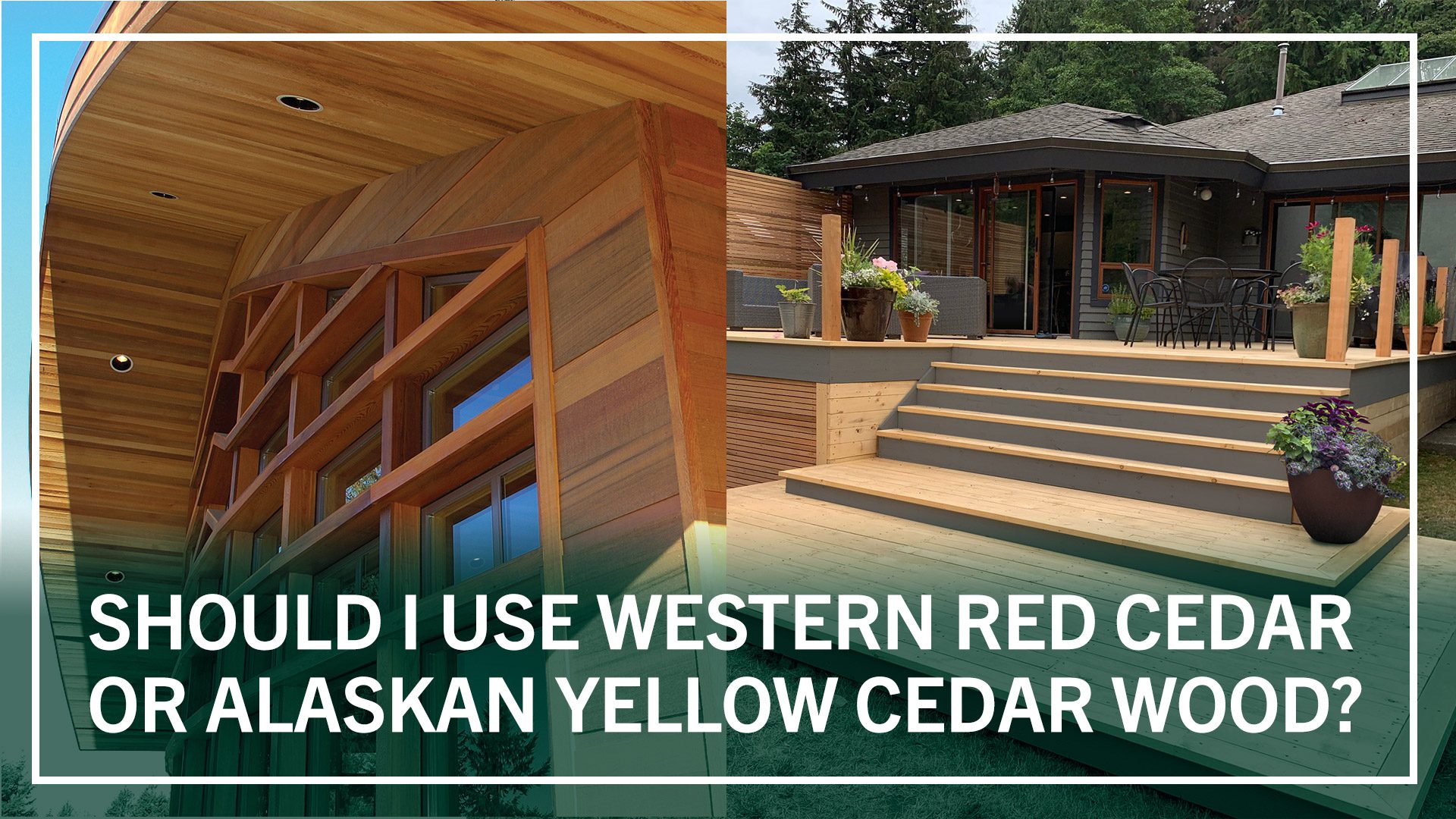 Alaskan Yellow Cedar  The Wood Database (Softwood)