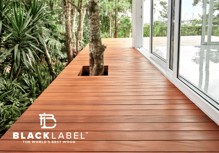 Best Decking Materials for Northeast Climates in 2023 Russin