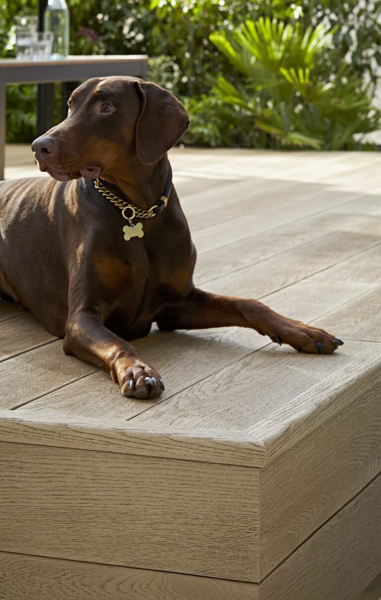 MCL360G_Enhanced Grain_Golden Oak_Cameo 2