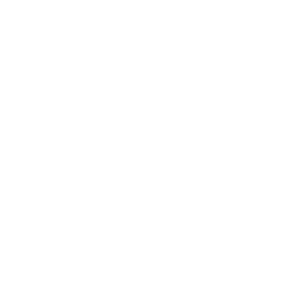 norx_logo_knockout