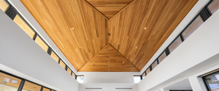 Maximo | Ceiling | Ayous